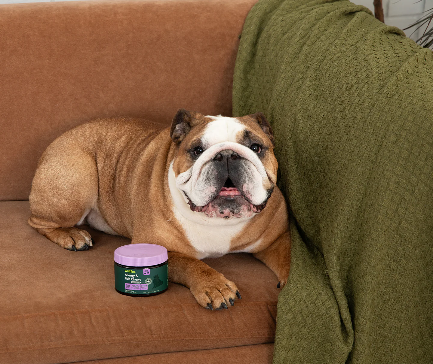 Healthier Lives for Happier Dogs